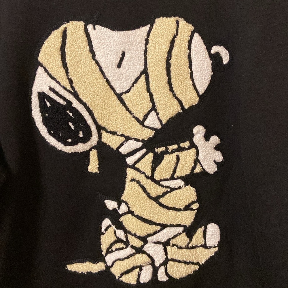 039 NWT Peanuts Snoopy Large for Train - Picture 3 of 14